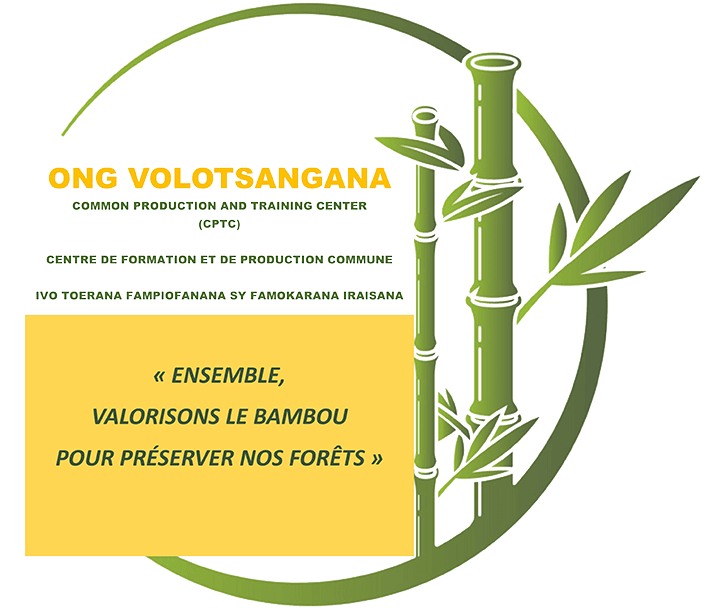 ONG Volotsangana — Le bambou pour un avenir durable — logo
