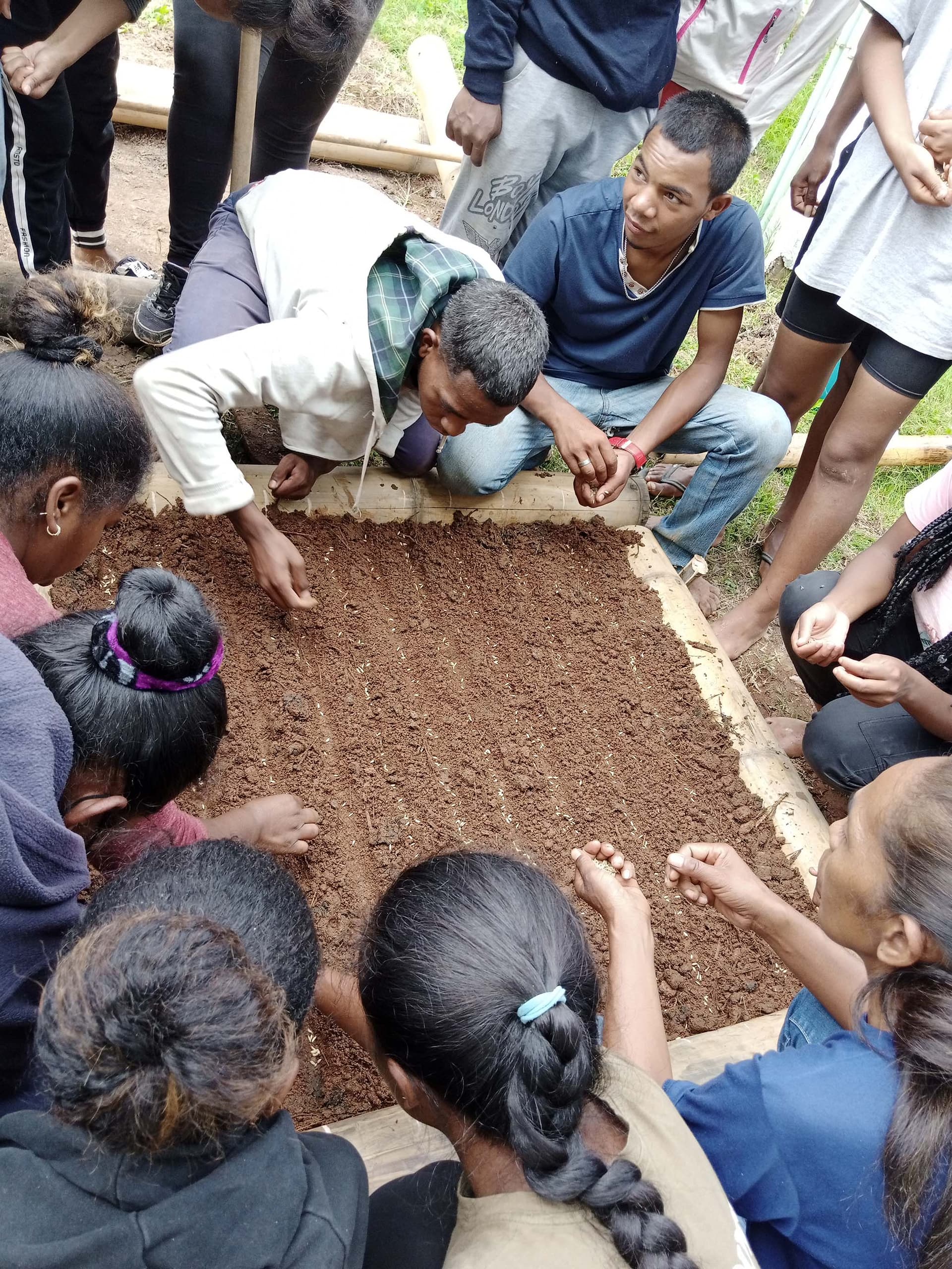 Training, service delivery & advisory support: the bamboo trades. — vue 7