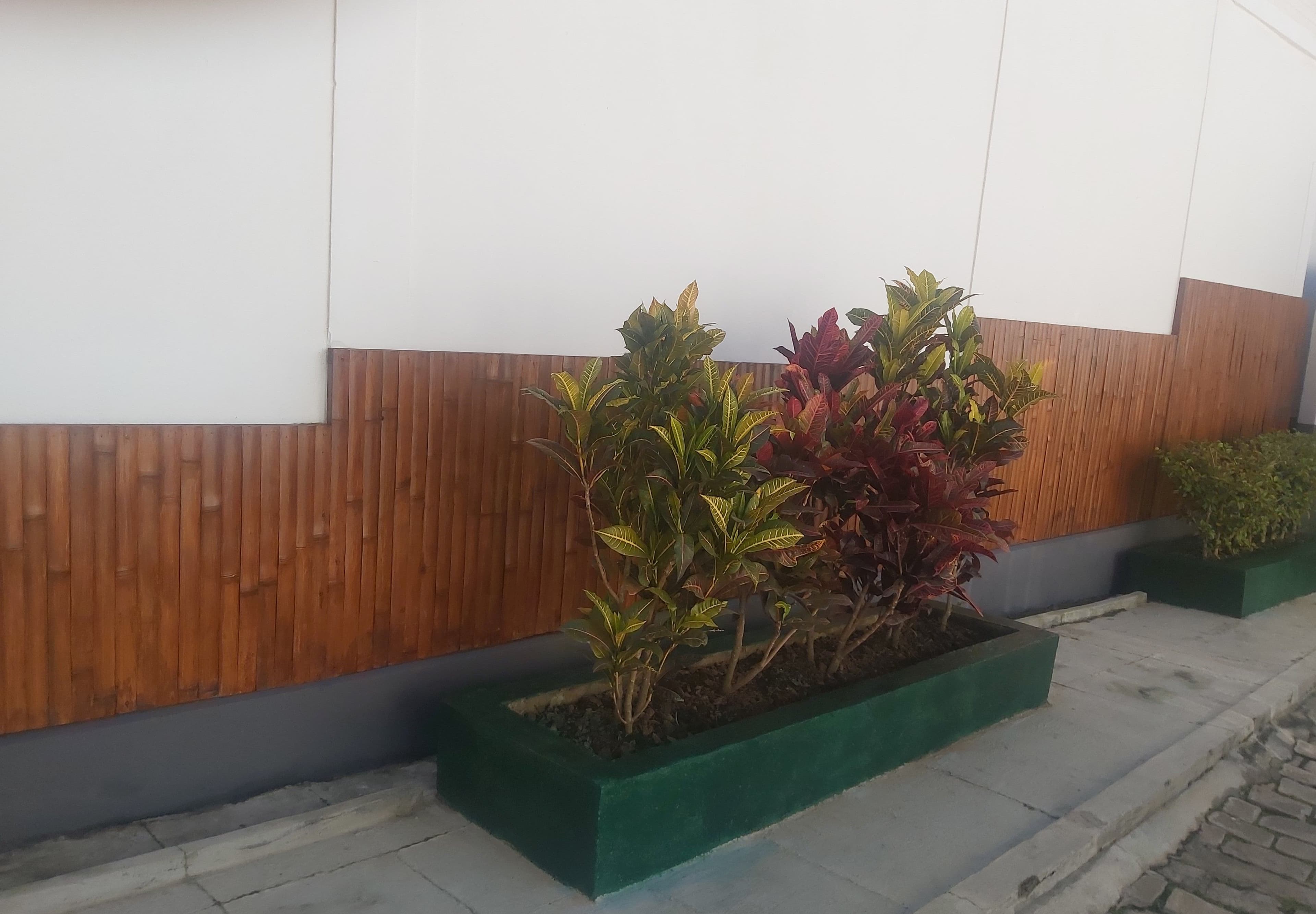 Revêtements muraux en bambou